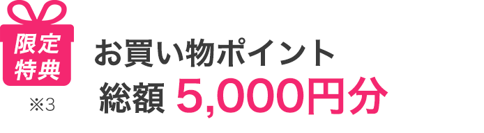 限定特典