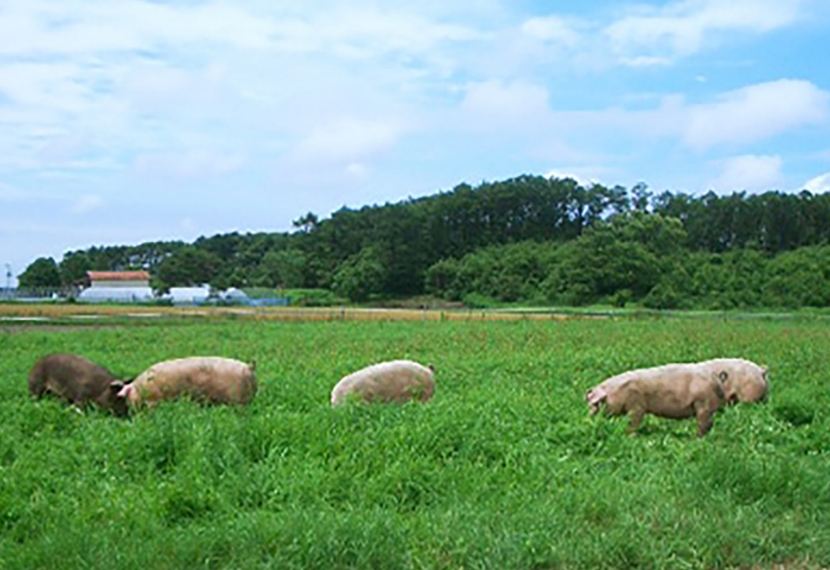 おすすめポイント1