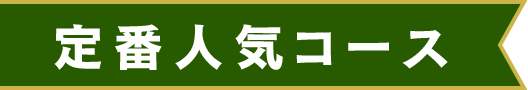 定番人気コース