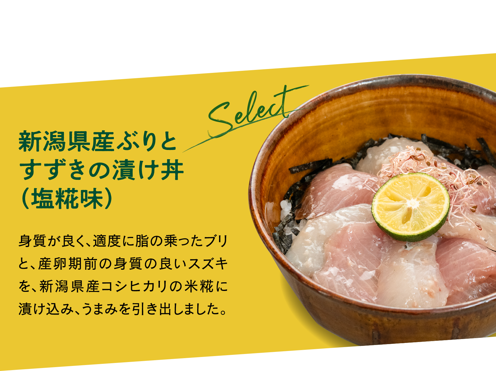 新潟県産ぶりとすずきの漬け丼（塩糀味）