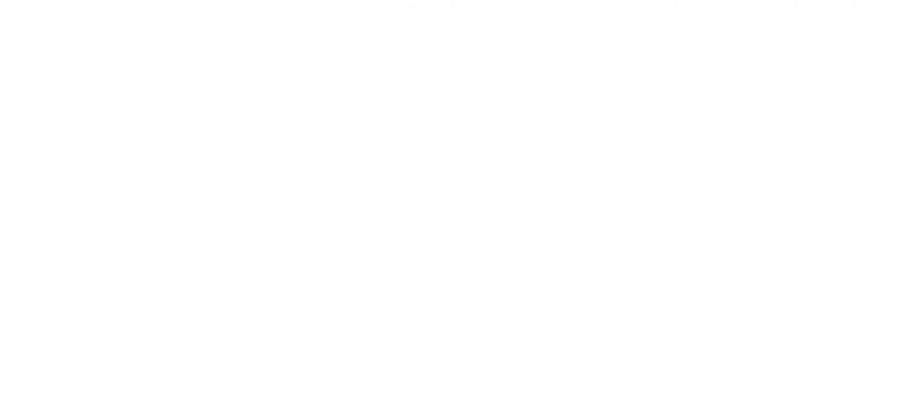 農薬や化学肥料を使わない有機栽培のコーヒー作りに取り組んできました。コーヒーを通して、未来世代に引き継がれるべき生態系へ、今できること。