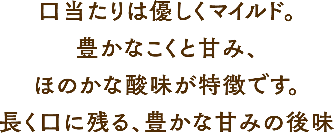 口当たりは優しくマイルド。豊かなこくと甘み、ほのかな酸味が特徴です。長く口に残る、豊かな甘みの後味