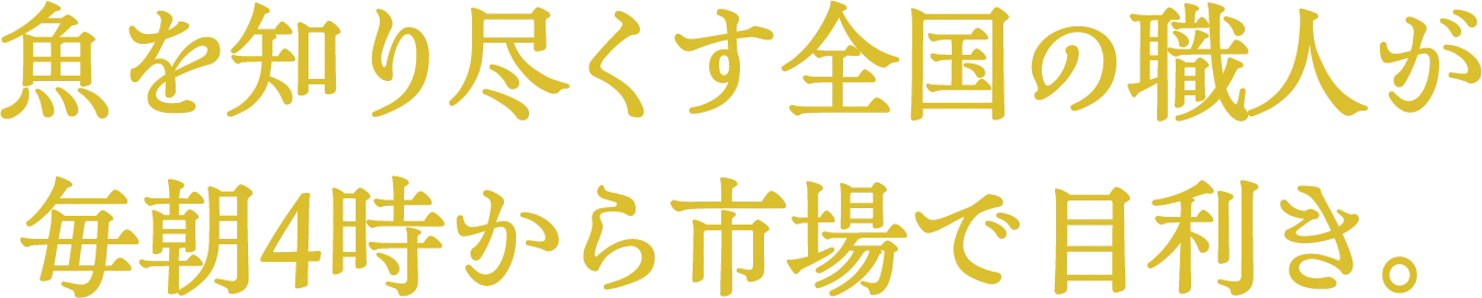 魚を知り尽くす全国の職人が毎朝4時から市場で目利き。
                    