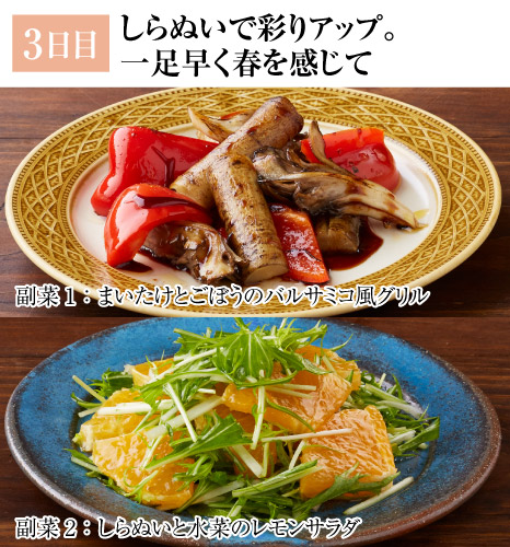 レシピ3日目