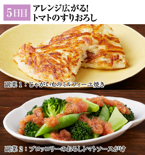 レシピ5日目