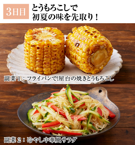 レシピ3日目