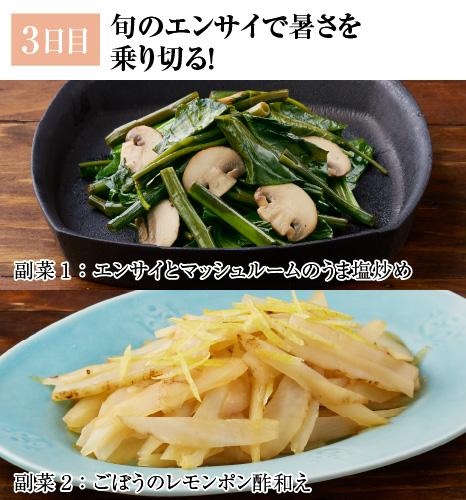 レシピ3日目