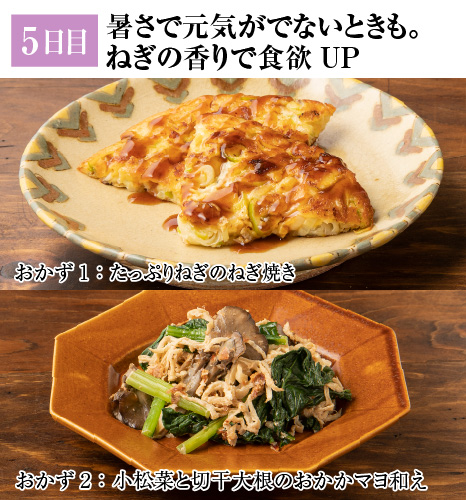 レシピ5日目