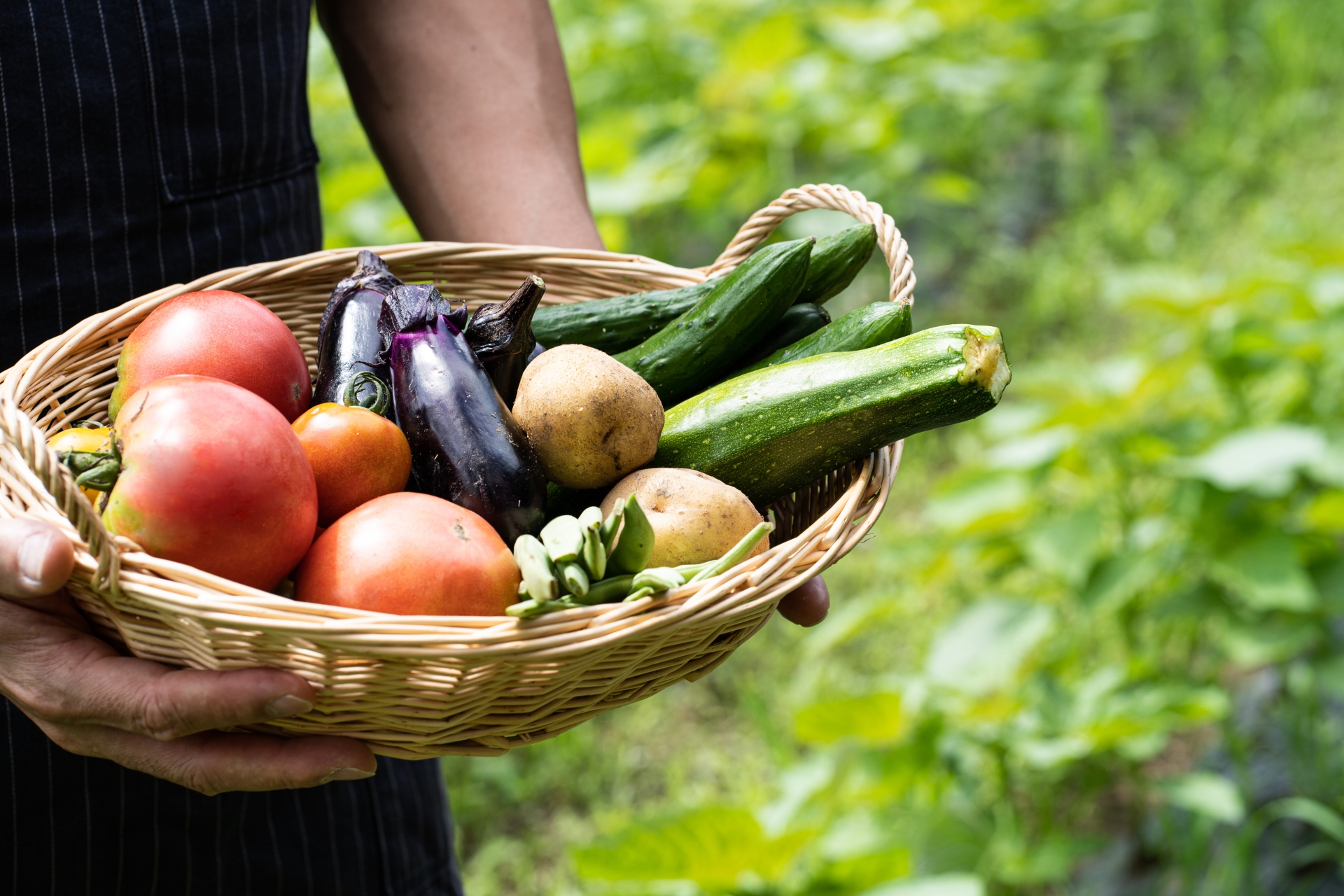 個人農家の野菜が人気の理由