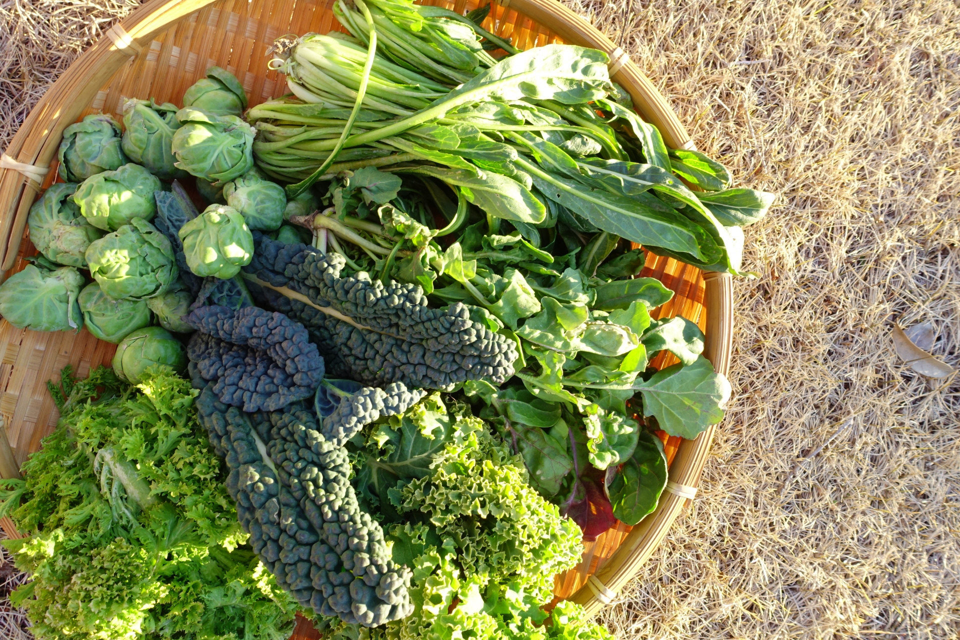 有機野菜はなぜ人気?