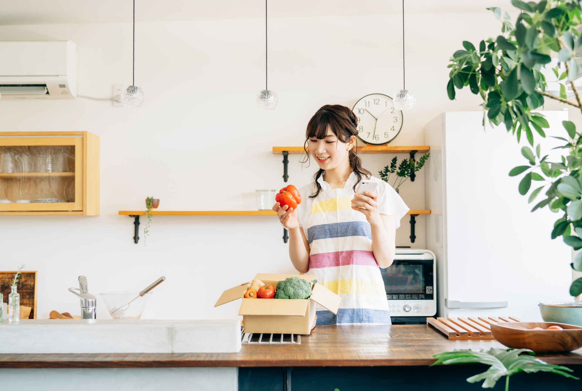 有機野菜宅配サービスのお試しセットでチェックすべきポイント