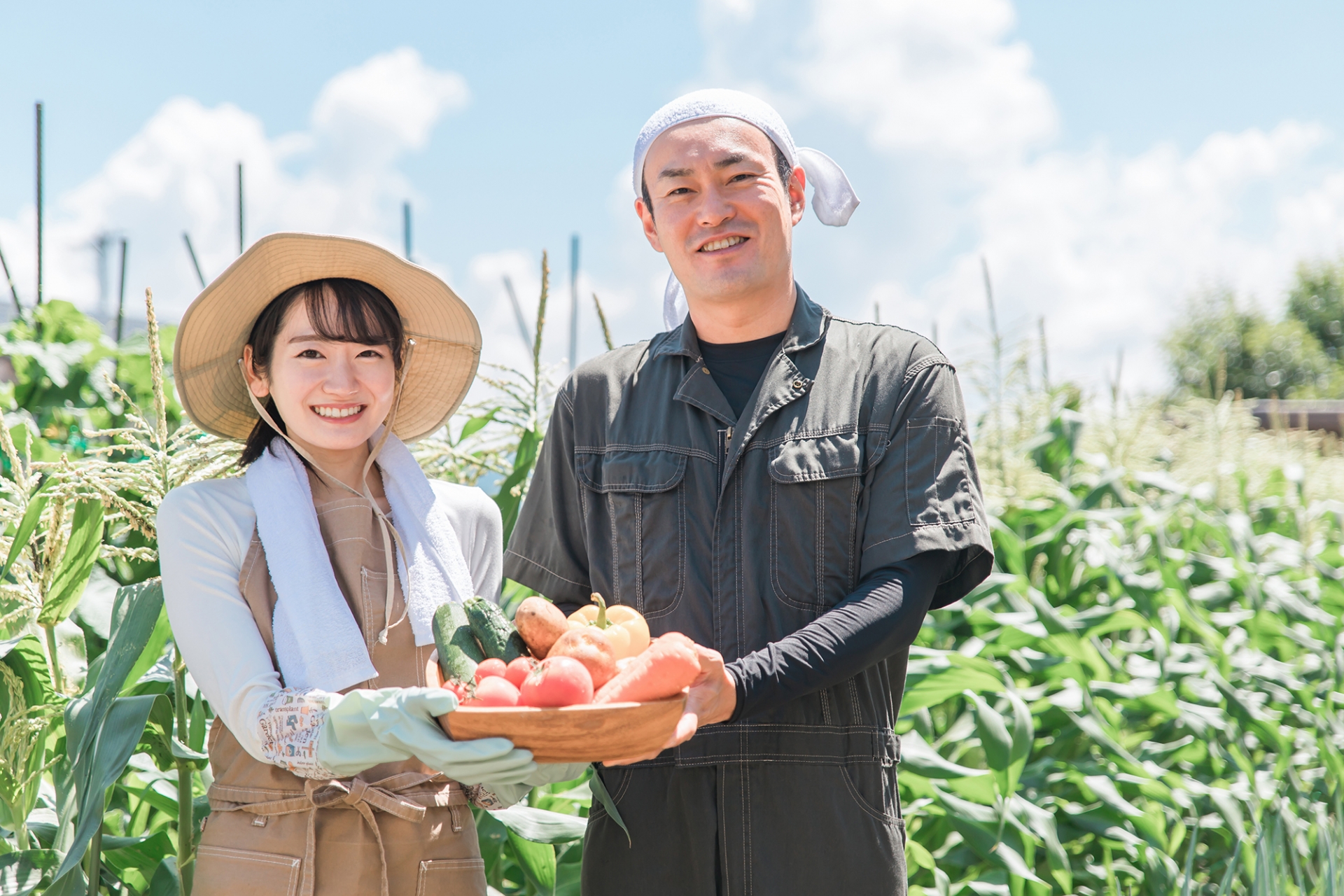 【野菜宅配サービス】大地を守る会のおすすめポイント