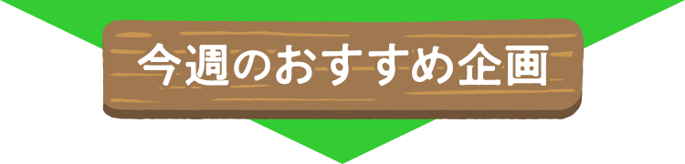 今週のおすすめ企画