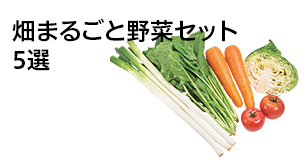 畑まるごと野菜セット5選