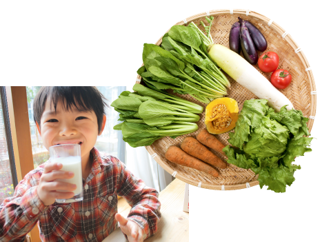 定期ボックス・子ども安心コース