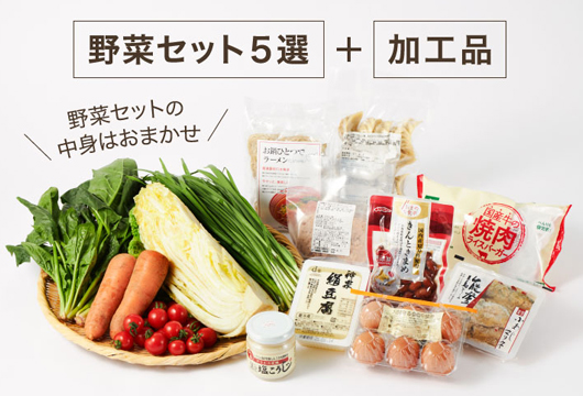 畑まるごと野菜セットコース