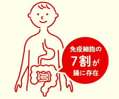 大切なのはやっぱり乳酸菌でした 腸活 で健康な体づくり