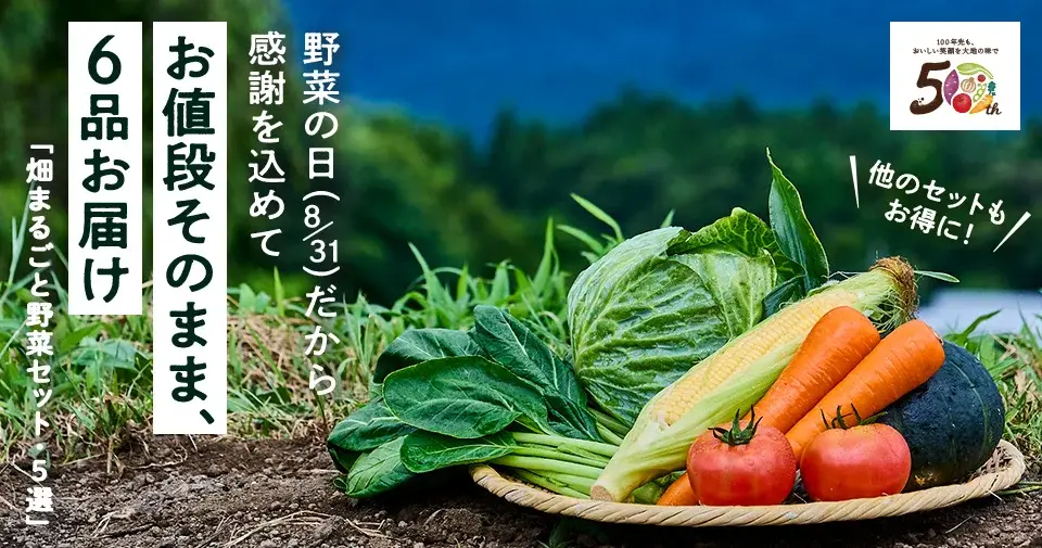 今週のおすすめ商品:今週のおすすめ商品畑まるごと野菜セット一品増量