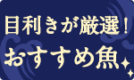 目利きが厳選！おすすめ旬魚
