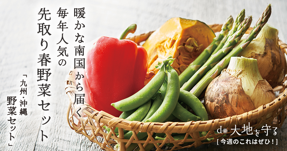 今週のおすすめ商品:九州沖縄野菜セット