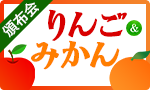 少しずつがうれしい！りんごとみかん頒布会