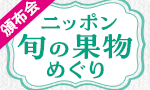 旬の果物巡り頒布会