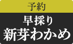 【予約】早採りわかめ