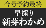 【予約】早採りわかめ