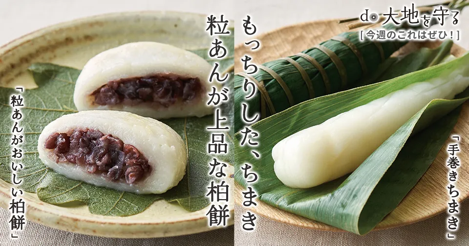今週のおすすめ商品:今週のおすすめ商品柏餅（粒あん）＆ちまきセット