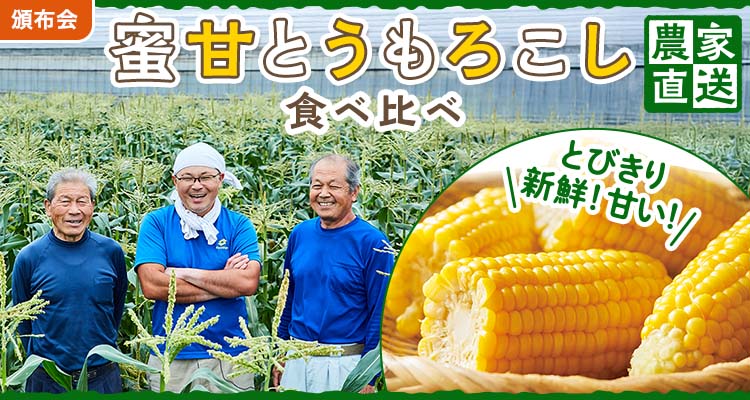産地直送！蜜甘とうもろこし頒布会
