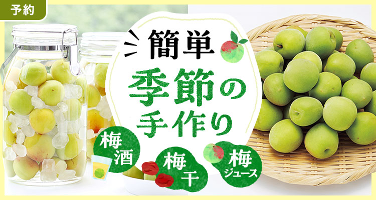【予約】梅ジュース梅酒作り