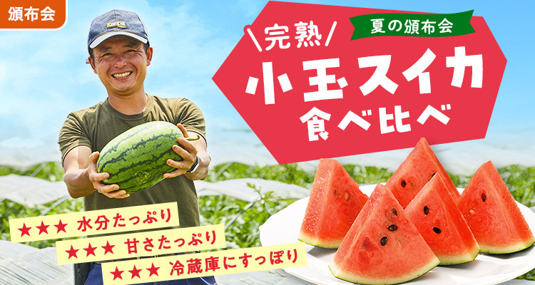 冷蔵庫にすっぽり！小玉すいか頒布会