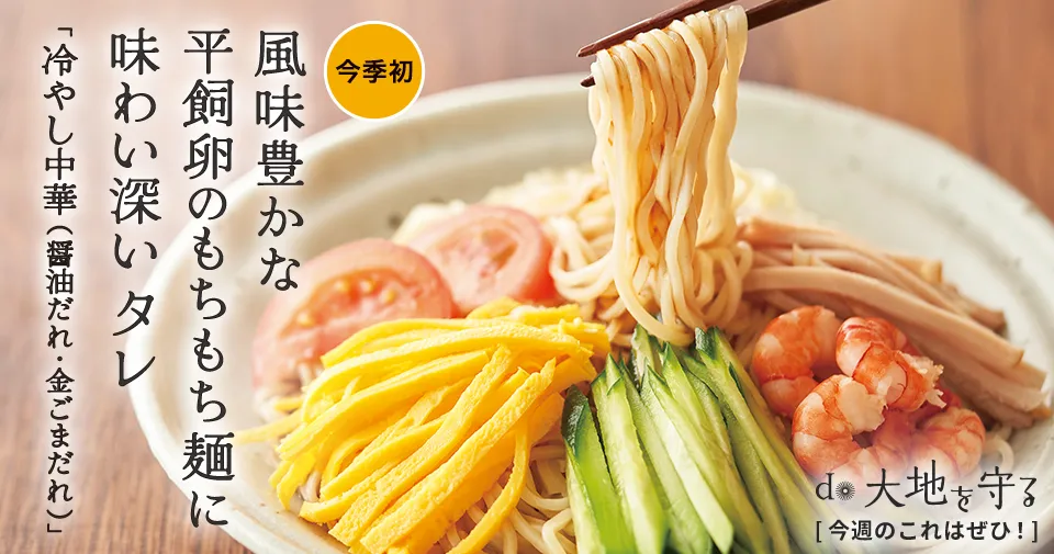 今週のおすすめ商品:今週のおすすめ商品平飼たまご麺の冷やし中華