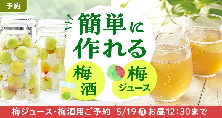 【予約】梅ジュース梅酒作り