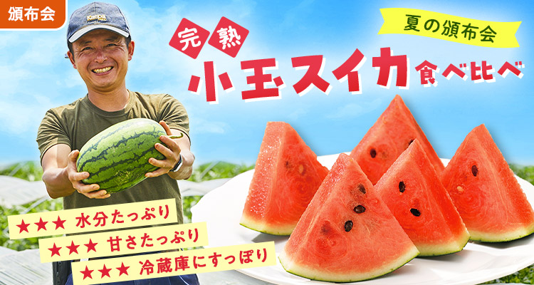 冷蔵庫にすっぽり！小玉すいか頒布会