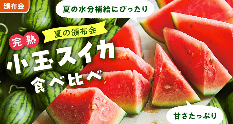 冷蔵庫にすっぽり！小玉すいか頒布会