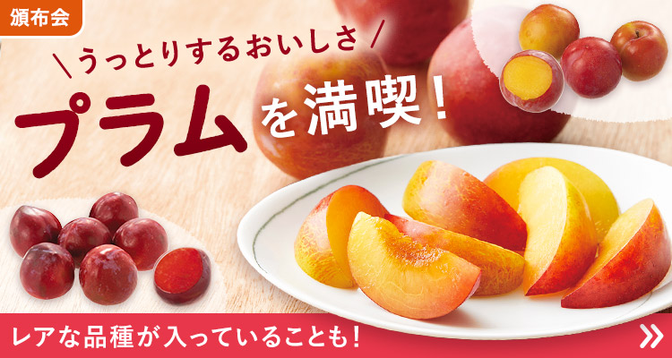 旬を味わう プラムの頒布会