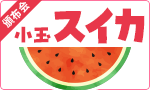 冷蔵庫にすっぽり！小玉すいか頒布会