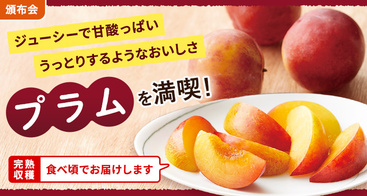 旬を味わう プラムの頒布会
