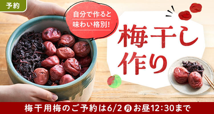 【予約】 簡単！梅干作り