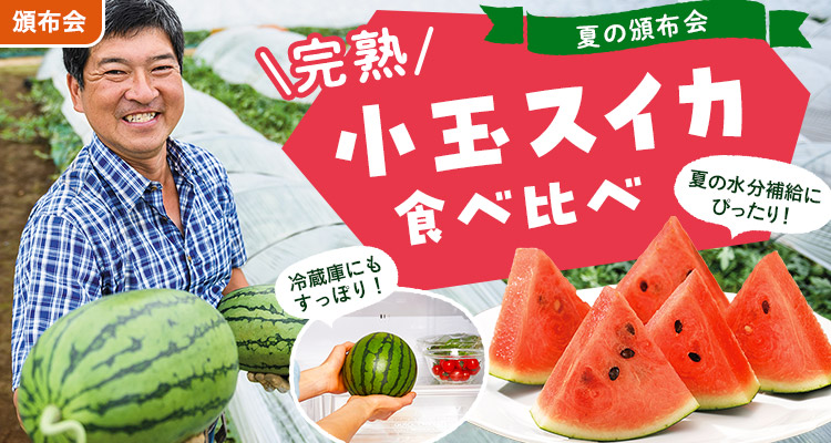冷蔵庫にすっぽり！小玉すいか頒布会