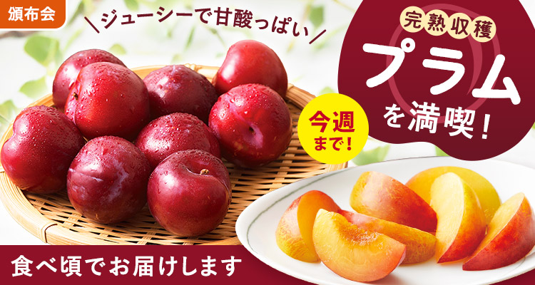 旬を味わう プラムの頒布会