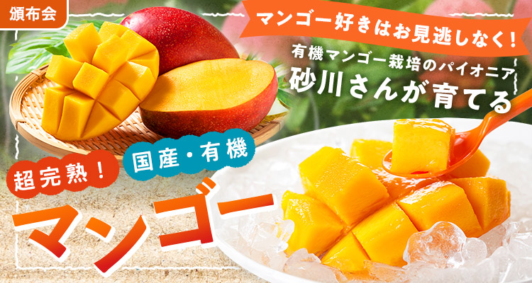 超完熟！国産・有機マンゴー頒布会