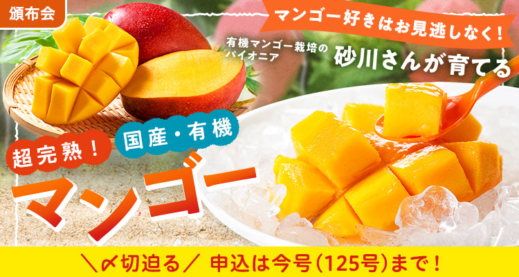 超完熟！国産・有機マンゴー頒布会