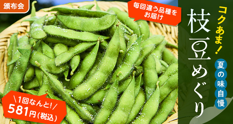 お手頃価格に！枝豆食べ比べ頒布会
