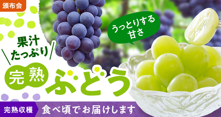 果汁あふれるぶどう食べ比べ頒布会