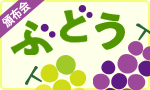 果汁あふれるぶどう食べ比べ頒布会