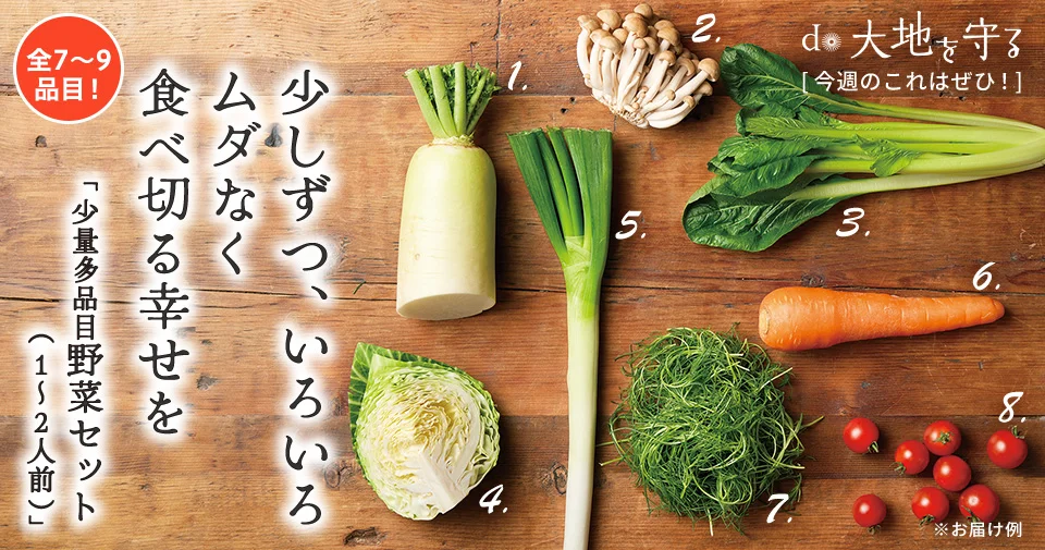 今週のおすすめ商品:今週のおすすめ商品少量多品目野菜セット（1〜2人前）