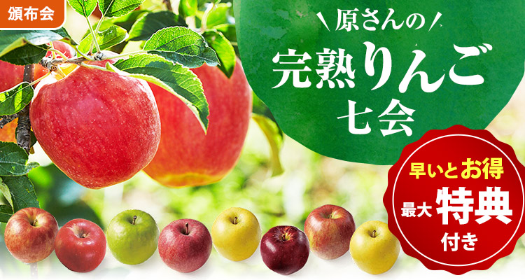 【最大特典】原さんの完熟りんご七会頒布会
