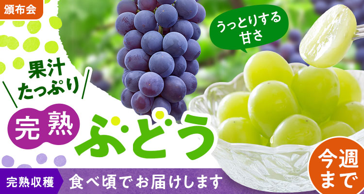 果汁あふれるぶどう食べ比べ頒布会